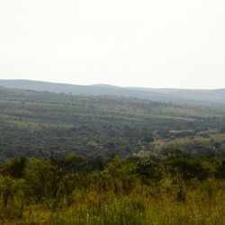 2015-05 South Africa/iMfolozi/DSC_0085.JPG